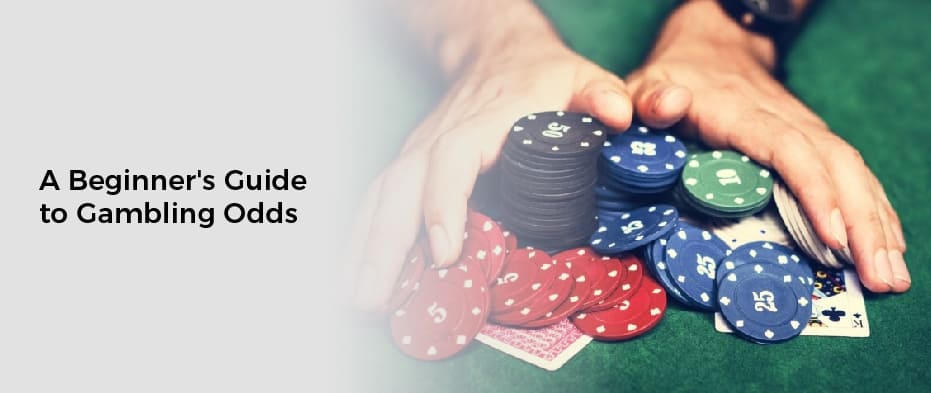 A Beginner's Guide to Gambling Odds