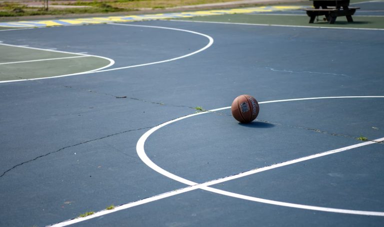 Influence of Veteran Players on Emerging NBA Talent
