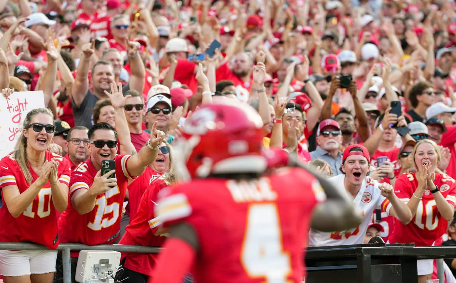 Which NFL Team Has the Most Fans